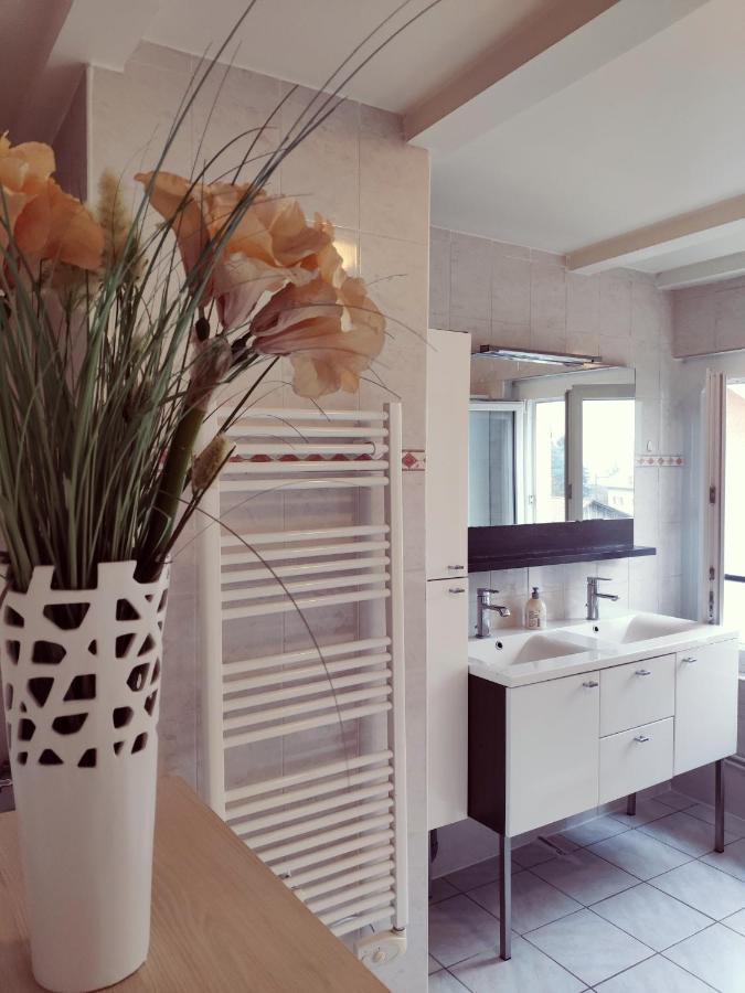 Au Bord Du Foron Apartment Scionzier Exterior photo